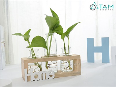 Bộ khung gỗ chữ nhật kèm lọ thuỷ tinh cắm hoa thuỷ canh [3 màu - 3 size] BINHLOHOA-05